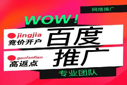 百度推广开户成功案例深度剖析