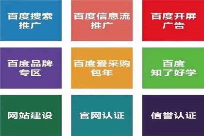 百度推广公司案例分析：精准定位，助力企业精准营销